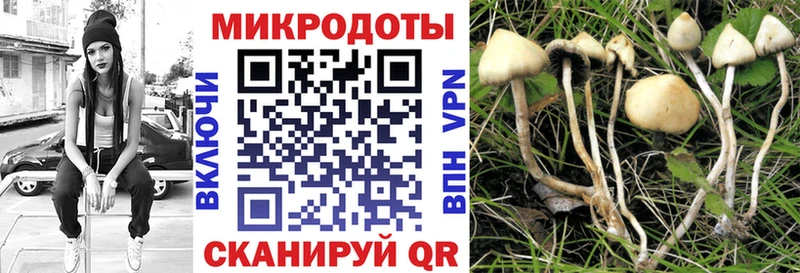 цены   Очёр  Псилоцибиновые грибы ЛСД 